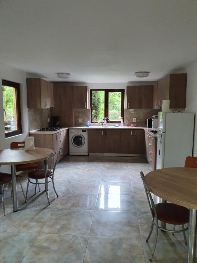 Daiana Residence Cabane Турда Екстер'єр фото