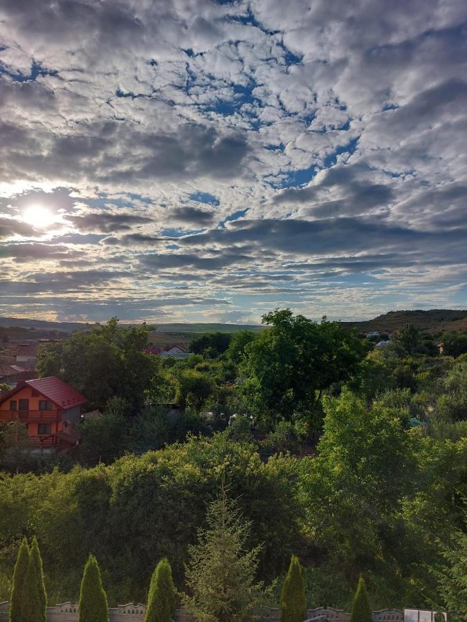 Daiana Residence Cabane Турда Екстер'єр фото